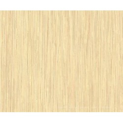 80517BR23 Обои BRAVO Кат502 винил 0,53м (16)