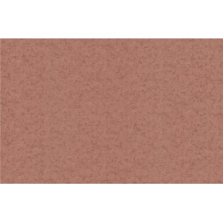 84005BR83 Обои BRAVO Кат538, винил, флиз, 1,06м (6)