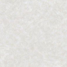 Одуванчики фон С14Ф-829Ф-06КМД Гр.2 Саратов Гофрированные 0,53м (15)