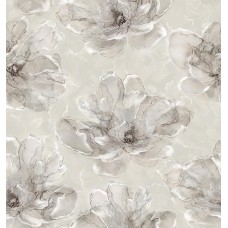 Альбион-Н С6-Д997-02КОД2 Гр.5 Саратов Дуплекс 0,53м (12)