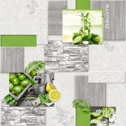 Мохито С3В-765Ф-06КД Гр.2 Саратов моющиеся 0,53 (15)