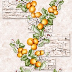 Абрикос-Д С3В-771Ф-05КД Гр.3 Саратов моющиеся 0,53 (15)